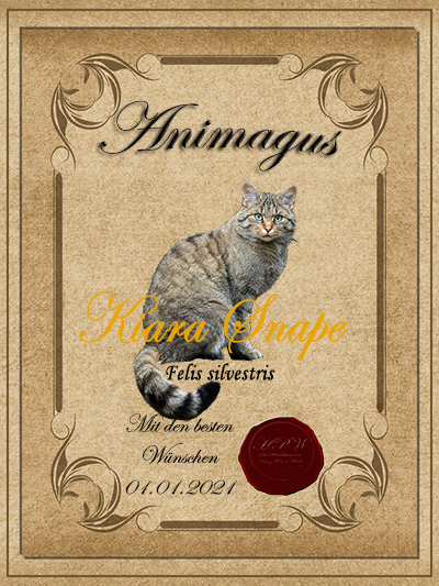 Animagus-Kiara